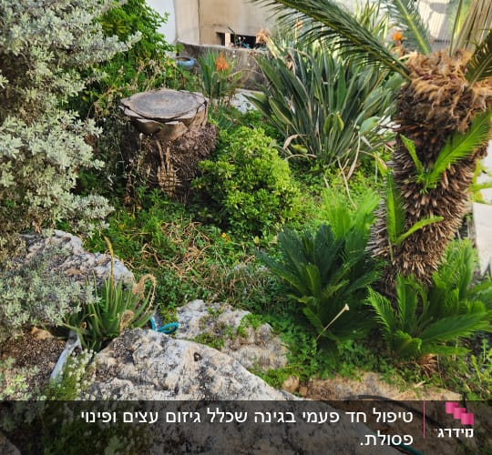 צמחים ירוקים, גזע עץ כרות, צינור השקיה